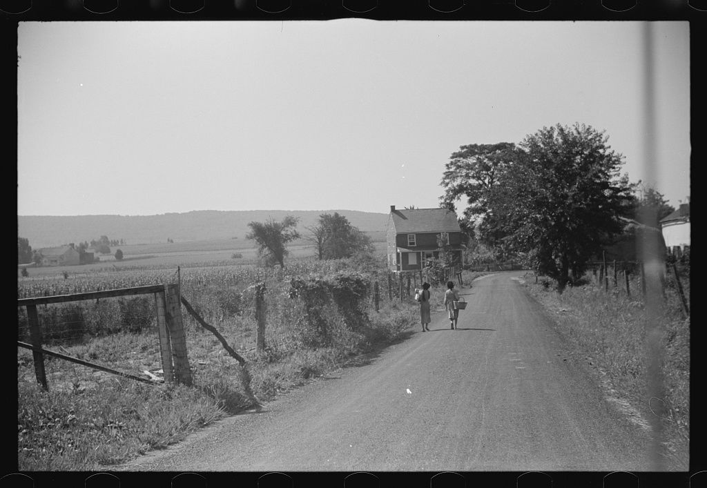 farm9 Mennonite farm women going home from market.jpg